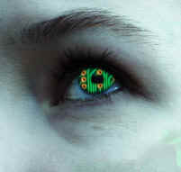 Syntheticnightmareeye.jpg (3791 bytes)